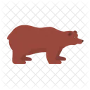 Bear Animal Zoo Icon