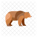 Bear  Icon