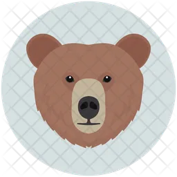 Bear  Icon