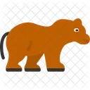 Bear  Icon