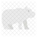 Bear Polar Zoo Icon