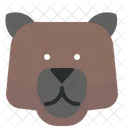 Bear Brown Icon