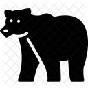 Animal Bear Camping Icon