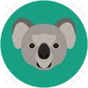Bear Small Cute Icon