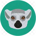 Bear Wild Animal Icon