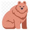 Ibear Bear Animal Icon