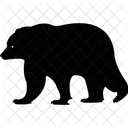 Animal Bear Wild Animal Icon