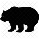 Animal Bear Wild Animal Icon