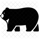 Camping Bear Animal Icon