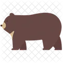 Camping Bear Animal Icon