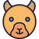 Bear Wild Animal Mammal Icon