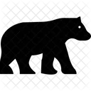 Bear Mammal Asiatic Black Bear Icon