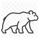 Bear Wild Animal Animal Icon