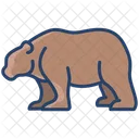 Bear Animal Wildlife Icon