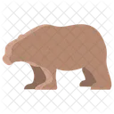 Bear Animal Wildlife Icon