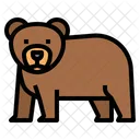 Bear Camping Pet Icon