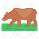 Bear  Icon