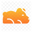 Bear  Icon