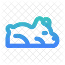 Bear  Icon