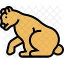 Bear  Icon
