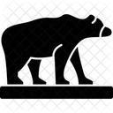 Animal Bear Beast Symbol