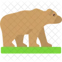 Animal Bear Beast Symbol