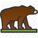 Animal Bear Beast Symbol