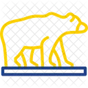 Animal Bear Beast Symbol