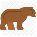 Bear  Icon