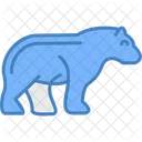 Bear  Icon
