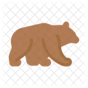 Bear Mammal Wild Icon