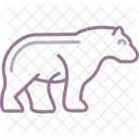 Bear  Icon