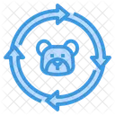 Bear Market  Icon