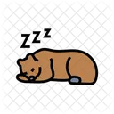 Bear Sleep  Icon