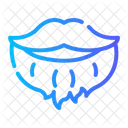 Beard Facial Hair Icon