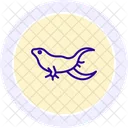 Bearded dragon  Icon