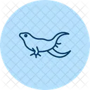 フトアゴヒゲトカゲ  アイコン