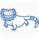 Bearded dragon  Icon