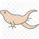 Bearded dragon  Icon