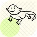 Bearded dragon  Icon