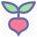 Beat Vegetable Fresh Icon