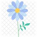 Beautiful Daisy Flower Icon