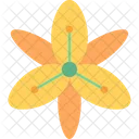Beautiful Floral Flower Icon