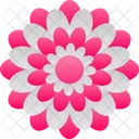 Beautiful Chrysanthemum Floral Icon