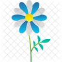Beautiful Daisy Flower Icon