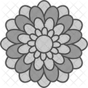 Beautiful Chrysanthemum Floral Icon
