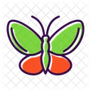Beautiful Butterfly Color Icon