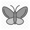 Beautiful Butterfly Color Icon