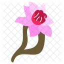 Flower Pink Background Icon