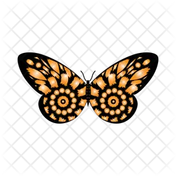 Beautiful Butterfly  Icon